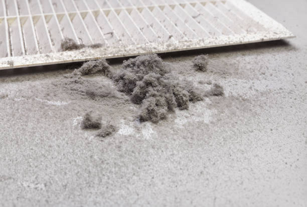 Best Duct Cleaning for Homes  in Point Marion, PA